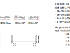 电动护理床DB-2